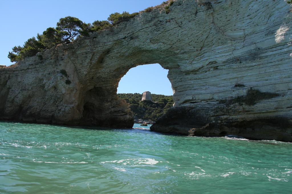 Pellegrino Village Vieste Esterno foto
