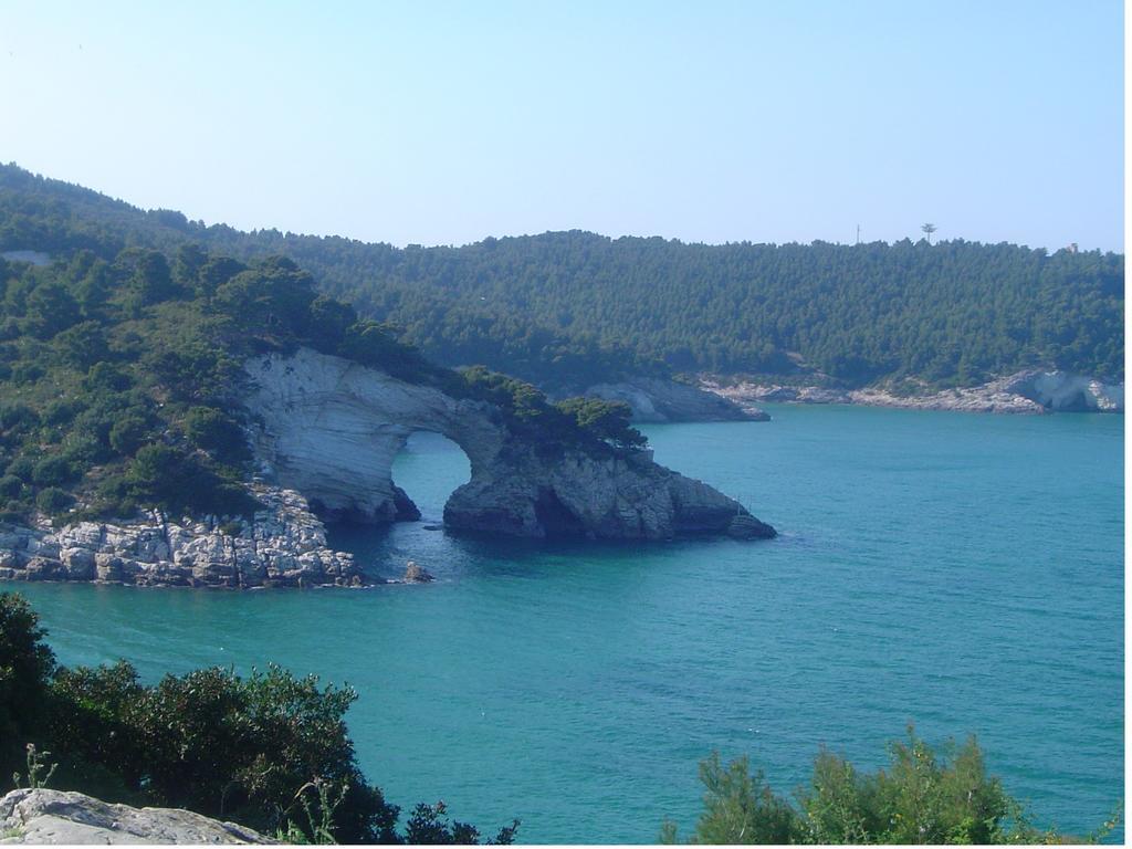 Pellegrino Village Vieste Esterno foto
